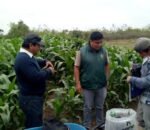 capacitaciongroupcelis