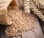 49bc02_806e015250ed44de9e6a7dc16af729ee_mv2