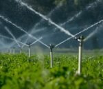 e8222ce4c46f5160478610c54d34b94b58ec4908