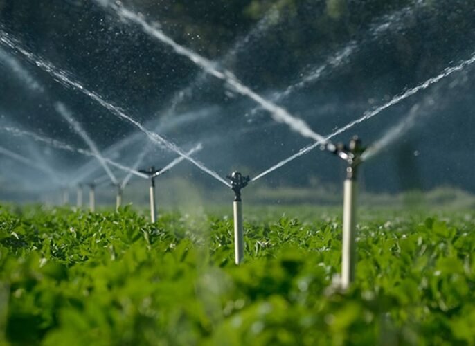 e8222ce4c46f5160478610c54d34b94b58ec4908