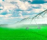sistemas-riego-aspersion