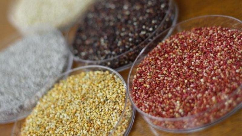 Alimentos Procesados